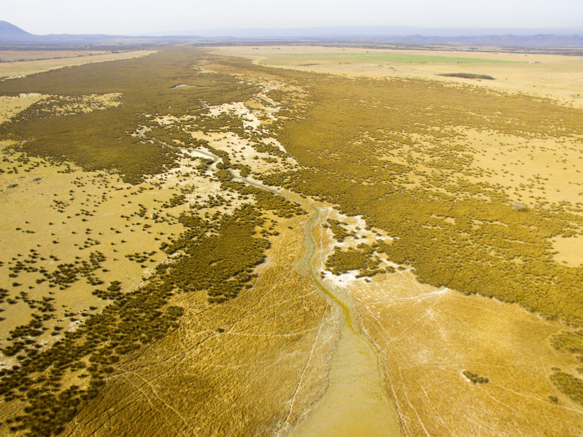 Laguna de Pocho